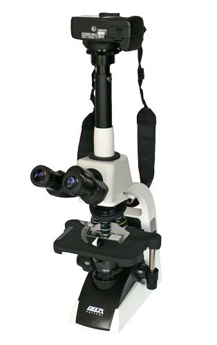 mikroskop300